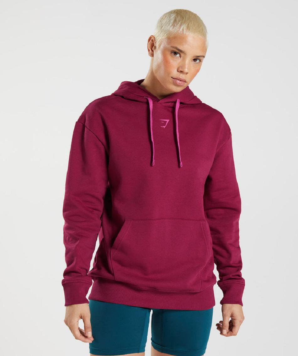 Sudadera Con Capucha Gymshark Graphics Fraction Mujer Rosas | CO 2030CTV